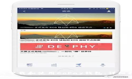 如何下载和使用CoPay钱包：详细指南