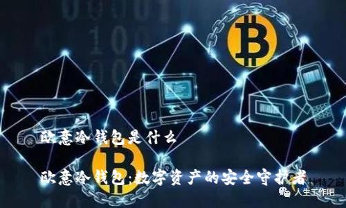 欧意冷钱包是什么

欧意冷钱包：数字资产的安全守护者