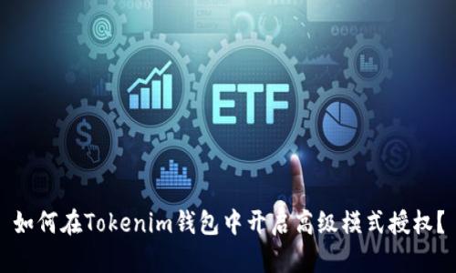 如何在Tokenim钱包中开启高级模式授权？