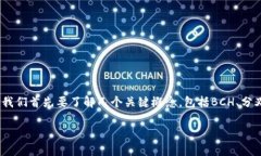 在讨论BCH（比特币现金）分叉及其与Tokenim的支持