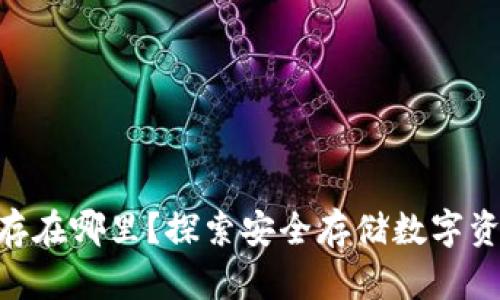 Tokenim的币存在哪里？探索安全存储数字资产的最佳实践