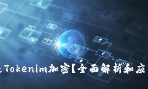 什么是Tokenim加密？全面解析和应用指南