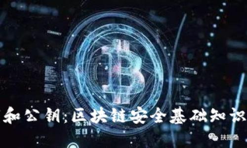 私钥和公钥：区块链安全基础知识揭秘