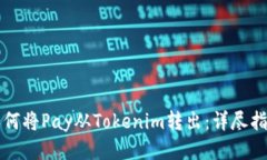 如何将Pay从Tokenim转出：详尽指南