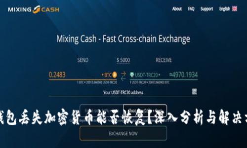 冷钱包丢失加密货币能否恢复？深入分析与解决方案