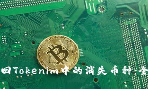 如何找回Tokenim中的消失币种：全面指南