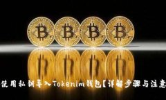 如何使用私钥导入Tokenim钱包？详解步骤与注意事