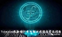 Tokenim收款确认中的解决方案与常见问题