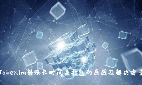 Tokenim转账长时间未打包的原因及解决方案