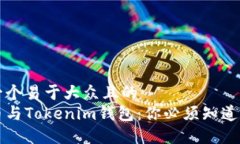 思考一个易于大众且的  狗狗币与Tokenim钱包：你