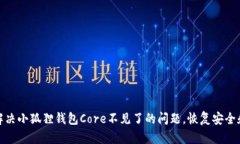 如何解决小狐狸钱包Core不见了的问题，恢复安全