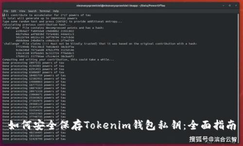 如何安全保存Tokenim钱包私钥：全面指南