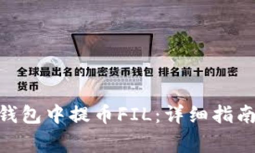 如何在Tokenim钱包中提币FIL：详细指南与常见问题解析