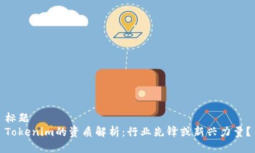标题
Tokenim的资质解析：行业先锋或新兴力量？