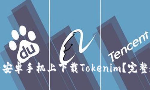 如何在国内安卓手机上下载Tokenim？完整教程与技巧