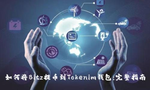 如何将Bitz提币到Tokenim钱包：完整指南
