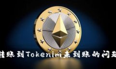如何解决SHIB转账到Tokenim未到账的问题：一步一步