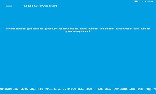 如何安全地导出TokenIM私钥：详细步骤与注意事项