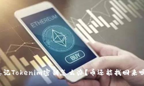 忘记Tokenim密钥怎么办？币还能找回来吗？