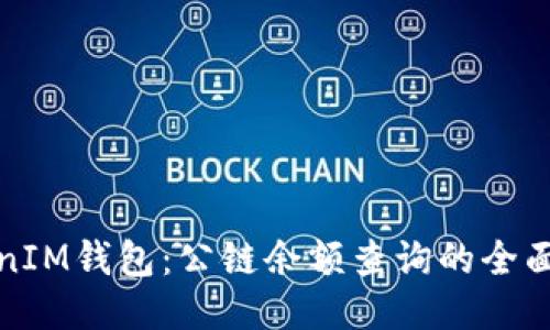 TokenIM钱包：公链余额查询的全面指南