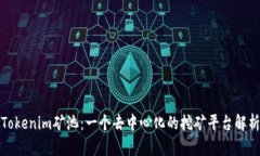 Tokenim矿池：一个去中心化的挖矿平台解析