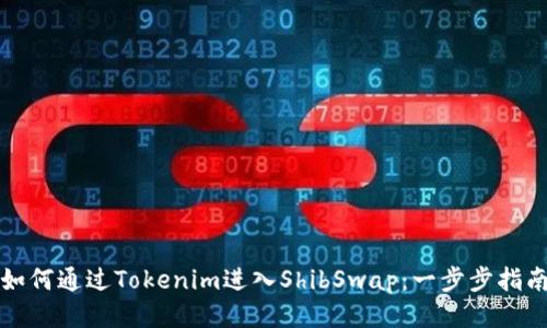 如何通过Tokenim进入ShibSwap：一步步指南