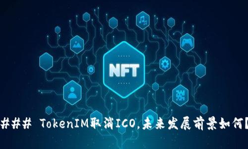 ### TokenIM取消ICO，未来发展前景如何？