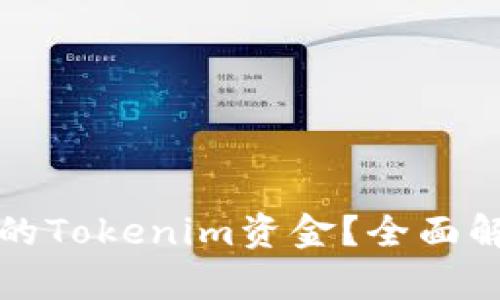 如何找回消失的Tokenim资金？全面解析与解决方案