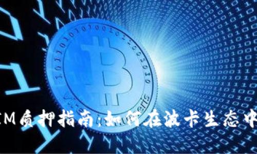 波卡TokenIM质押指南：如何在波卡生态中最大化收益