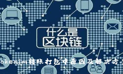 Tokenim转账打包中原因及解决方案