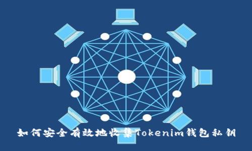 如何安全有效地收集Tokenim钱包私钥