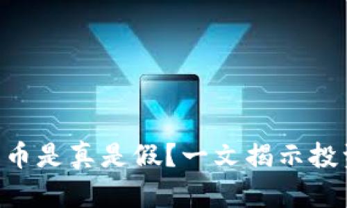 Tokenim中的币是真是假?一文揭示投资风险与机遇