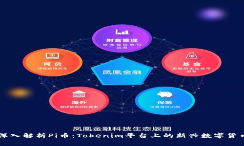 深入解析Pi币：Tokenim平台上的新兴数字货币