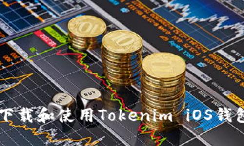  如何安全下载和使用Tokenim iOS钱包：完整指南