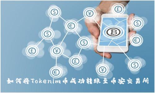 如何将Tokenim币成功转账至币安交易所