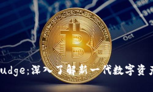 Tokenimbudge：深入了解新一代数字资产管理平台