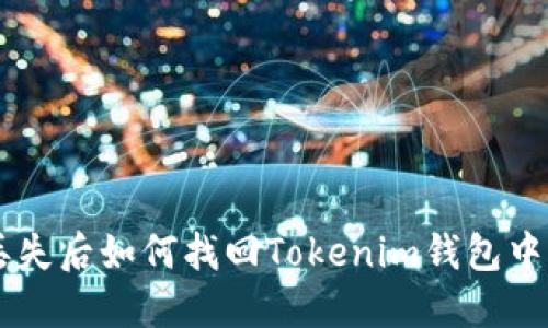 手机丢失后如何找回Tokenim钱包中的资产