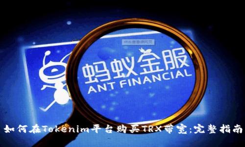 如何在Tokenim平台购买TRX带宽：完整指南