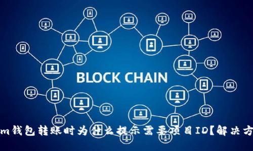 Tokenim钱包转账时为什么提示需要项目ID？解决方法详解