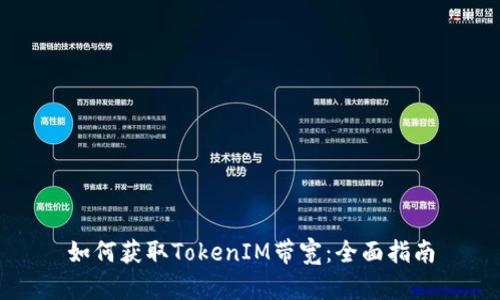 如何获取TokenIM带宽:全面指南