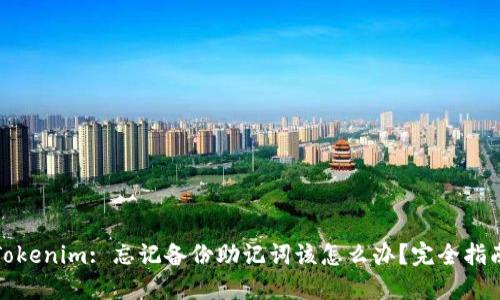 Tokenim: 忘记备份助记词该怎么办？完全指南