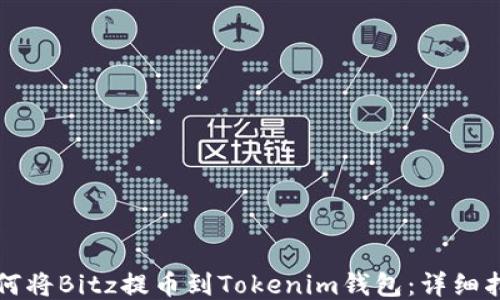 
如何将Bitz提币到Tokenim钱包：详细指南