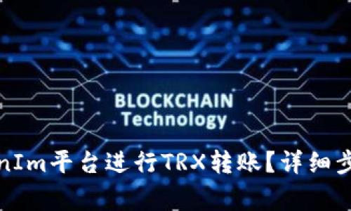 如何通过TokenIm平台进行TRX转账？详细步骤与注意事项