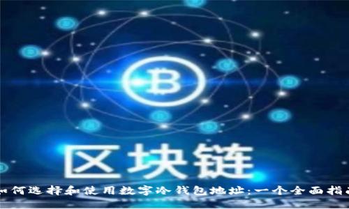 如何选择和使用数字冷钱包地址：一个全面指南