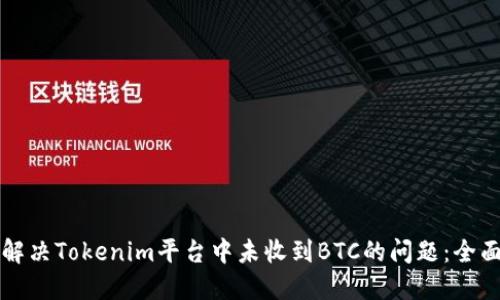 如何解决Tokenim平台中未收到BTC的问题：全面指南