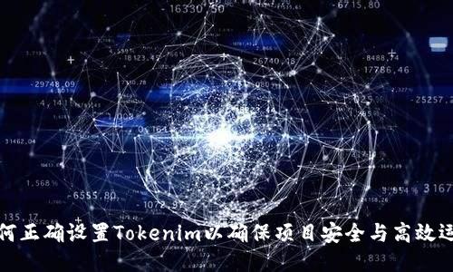 如何正确设置Tokenim以确保项目安全与高效运行