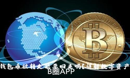 Tokenim钱包币被转走能要回来吗？详解数字资产挽回策略