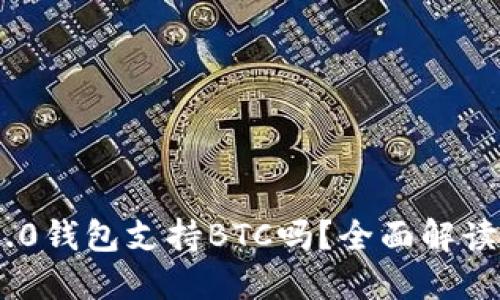 Tokenim 2.0钱包支持BTC吗？全面解读及使用指南