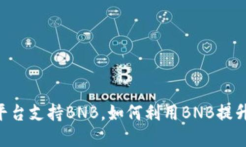 Tokenim平台支持BNB，如何利用BNB提升资产价值