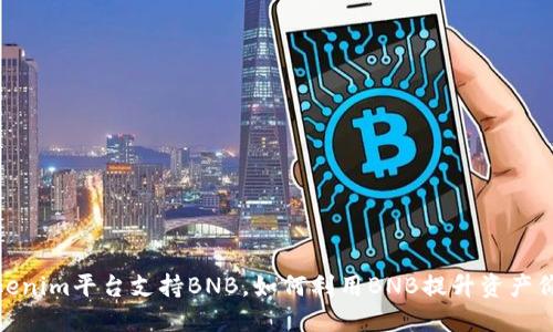 Tokenim平台支持BNB，如何利用BNB提升资产价值